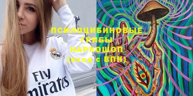 kraken ссылки  Енисейск  Псилоцибиновые грибы Magic Shrooms 